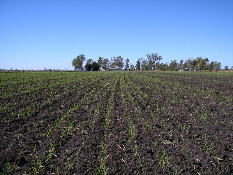 Dalby QLD 4405