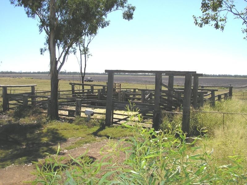 Dalby QLD 4405