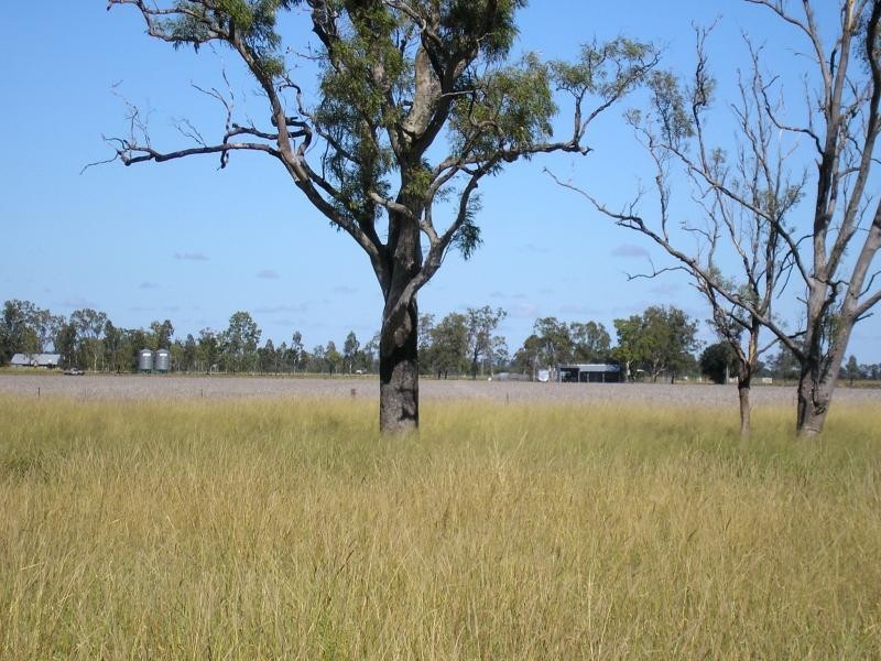 Dalby QLD 4405