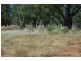 Eulo QLD 4491