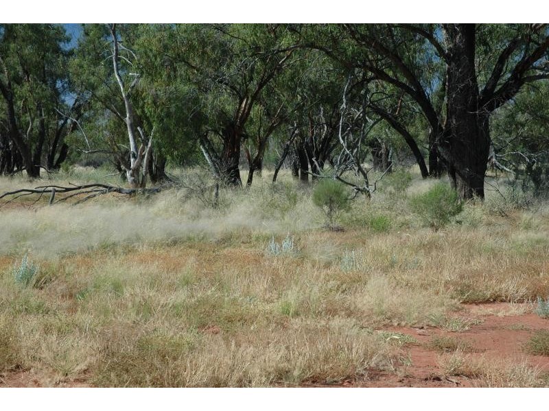 Eulo QLD 4491