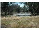 Eulo QLD 4491