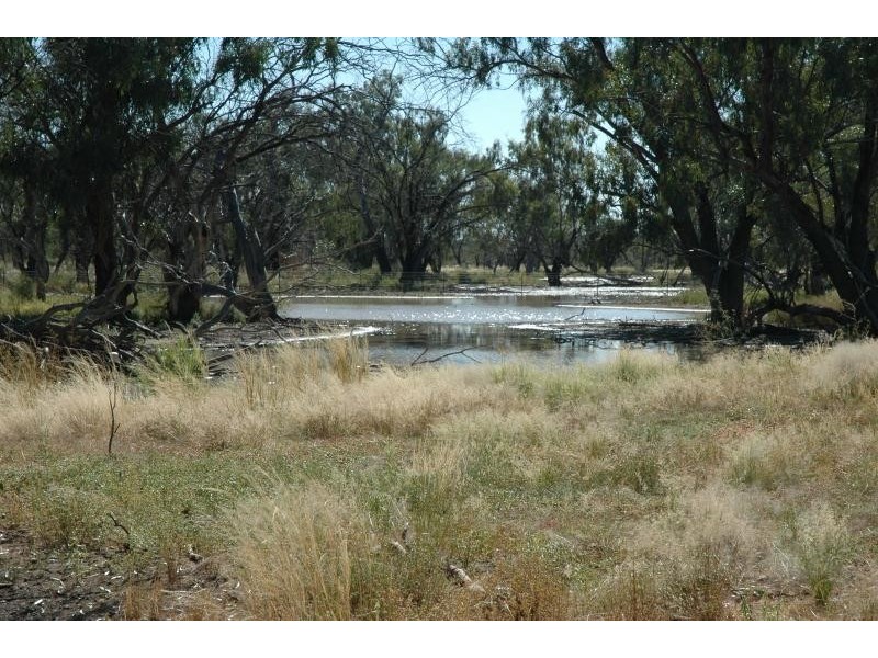 Eulo QLD 4491