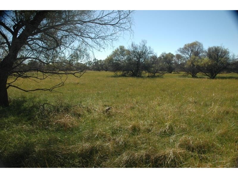 Eulo QLD 4491