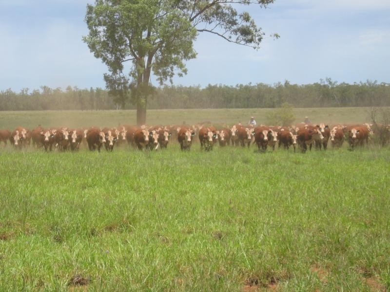 Westmar QLD 4422