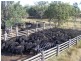 Westmar QLD 4422