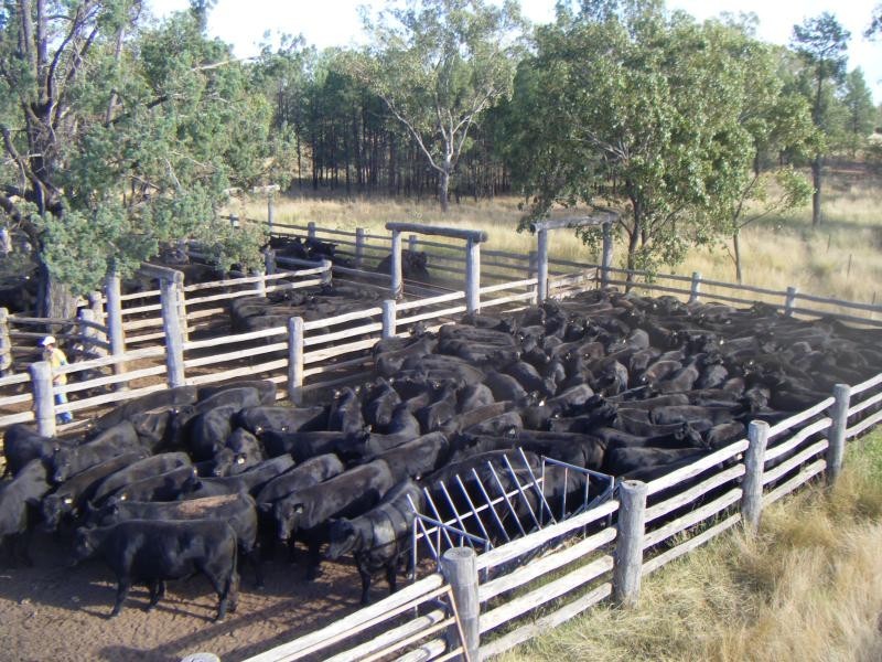 Westmar QLD 4422