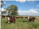Westmar QLD 4422