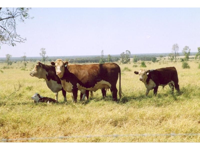 Westmar QLD 4422