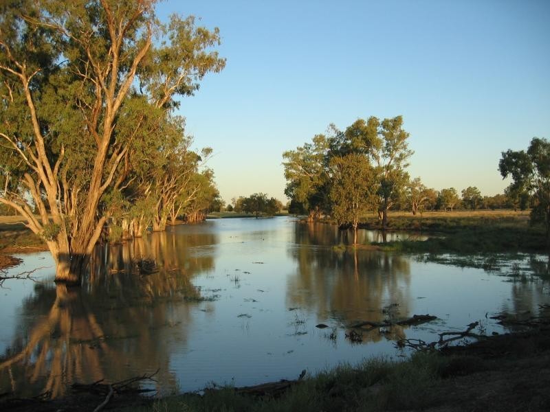 Westmar QLD 4422