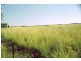 Westmar QLD 4422