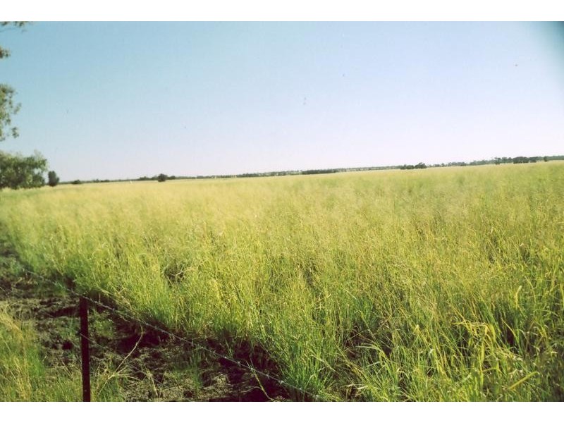 Westmar QLD 4422