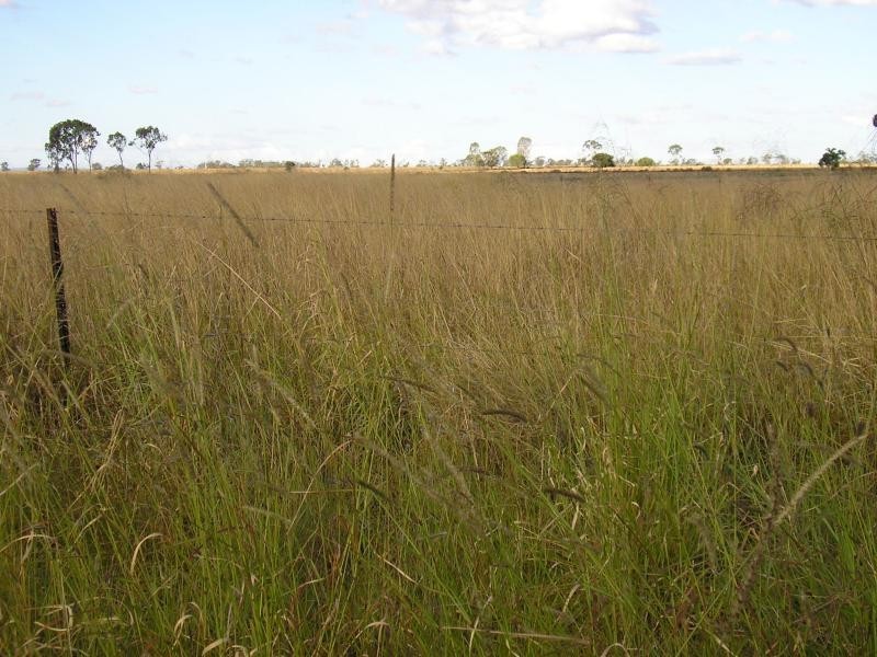 BOWENVILLE DISTRICT PROPERTY, Dalby QLD 4405