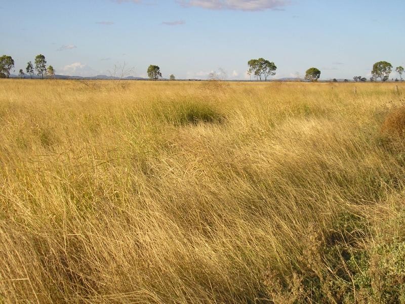 BOWENVILLE DISTRICT PROPERTY, Dalby QLD 4405