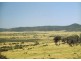Rolleston QLD 4702