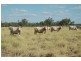 Blackall QLD 4472