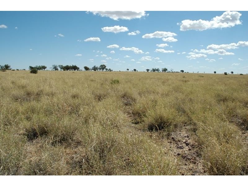 Blackall QLD 4472