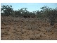 Boulia QLD 4829