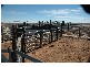 Boulia QLD 4829