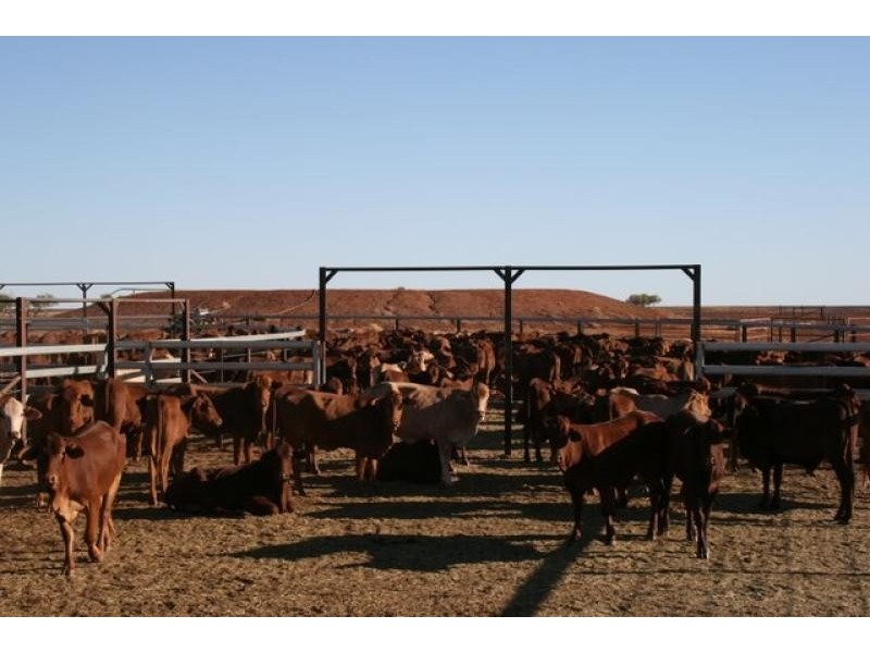 Boulia QLD 4829 the real estate agency Withdrawn