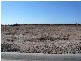 LOT 18/ HENRY COURT, Tara QLD 4421