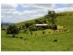 200 Maynards Plains Road, Dorrigo NSW 2453
