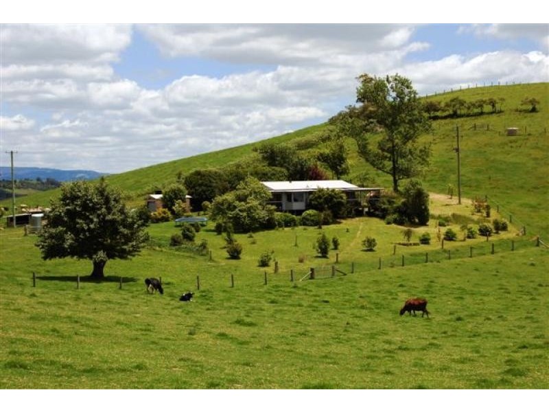 200 Maynards Plains Road, Dorrigo NSW 2453