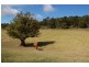 200 Maynards Plains Road, Dorrigo NSW 2453