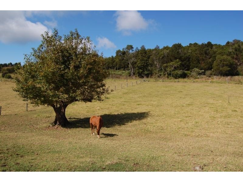 200 Maynards Plains Road, Dorrigo NSW 2453