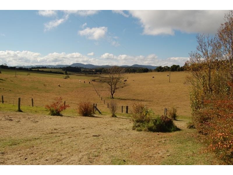 200 Maynards Plains Road, Dorrigo NSW 2453