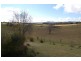 200 Maynards Plains Road, Dorrigo NSW 2453