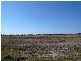 LOT 5/ HENRY COURT, Tara QLD 4421