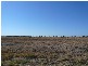 LOT 7/ HENRY COURT, Tara QLD 4421