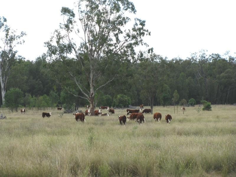 JIMBOUR – COORANGA NORTH RD, Dalby QLD 4405