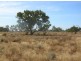 Eulo QLD 4491