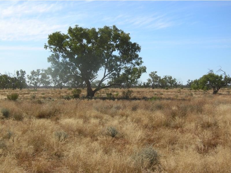 Eulo QLD 4491