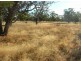 Eulo QLD 4491