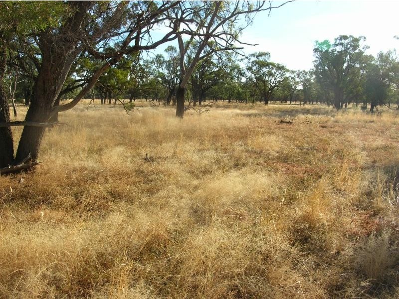 Eulo QLD 4491