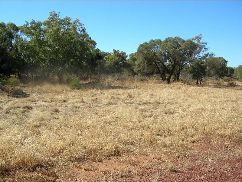 Eulo QLD 4491