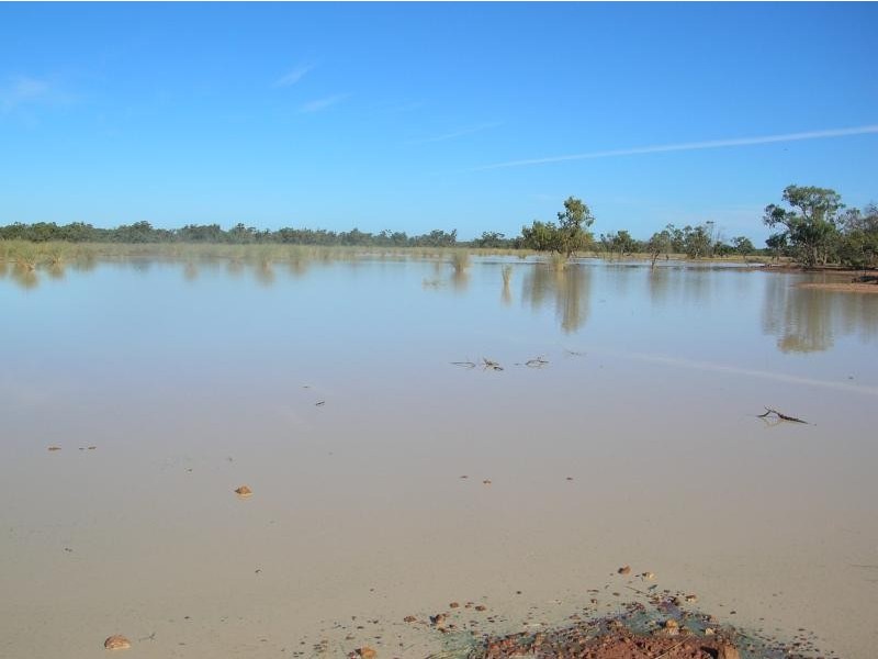 Eulo QLD 4491