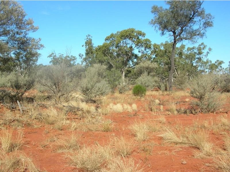 Eulo QLD 4491