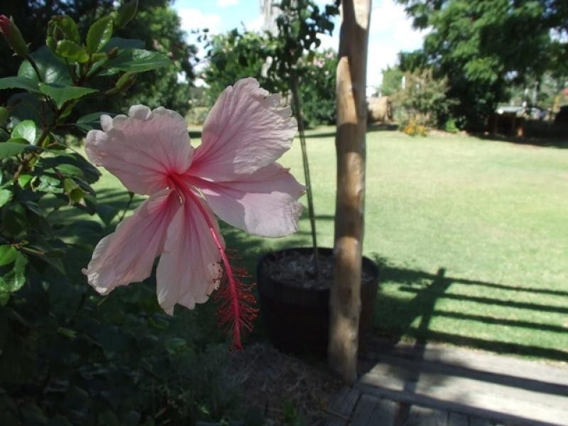 10 Church St, St George QLD 4487