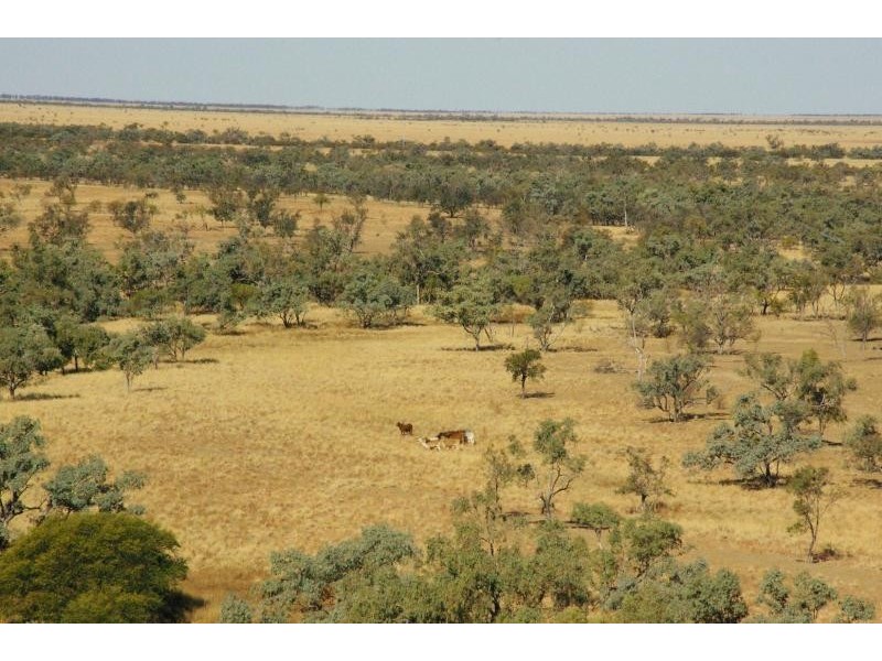 FLINDERS HIGHWAY, Julia Creek QLD 4823