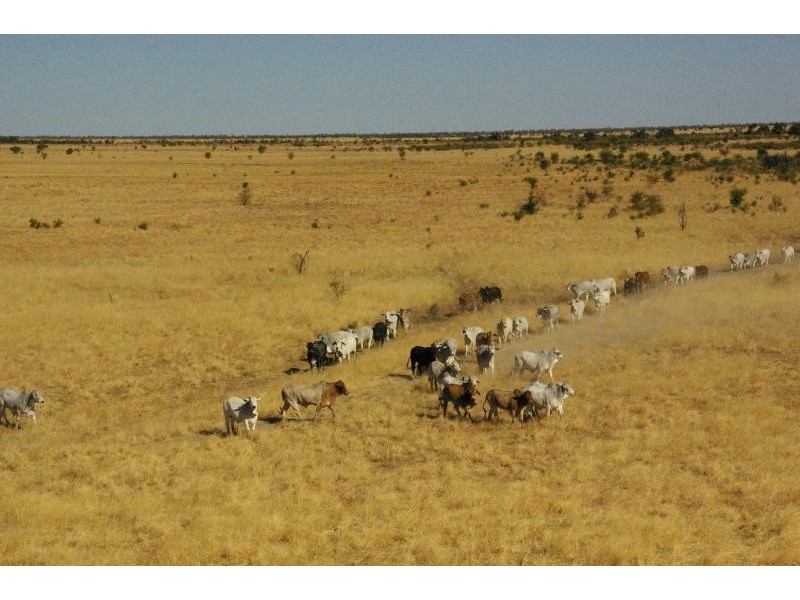 FLINDERS HIGHWAY, Julia Creek QLD 4823
