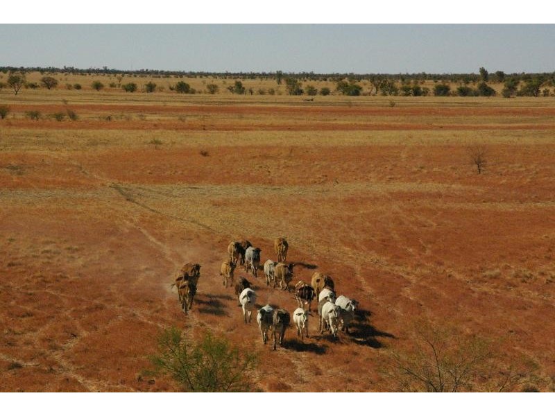 FLINDERS HIGHWAY, Julia Creek QLD 4823