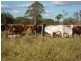 Nebo, QLD, Australia 4742 Nebo, QLD, Australia 4742, Nebo QLD 4742
