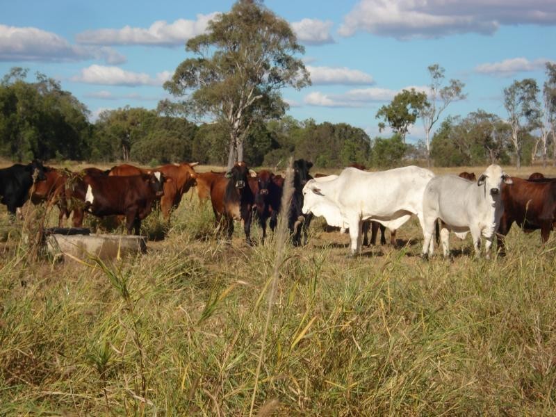 Nebo, QLD, Australia 4742 Nebo, QLD, Australia 4742, Nebo QLD 4742