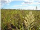 Nebo, QLD, Australia 4742 Nebo, QLD, Australia 4742, Nebo QLD 4742