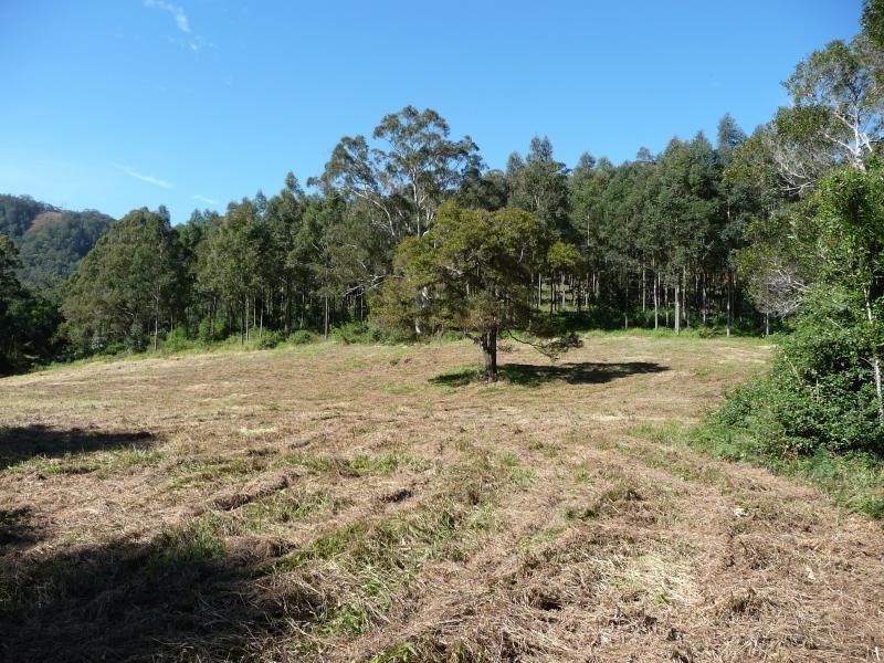 Witta QLD 4552