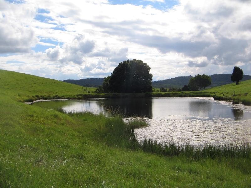 Lot 11-13 / Dalrymple Rd, Eungella QLD 4757